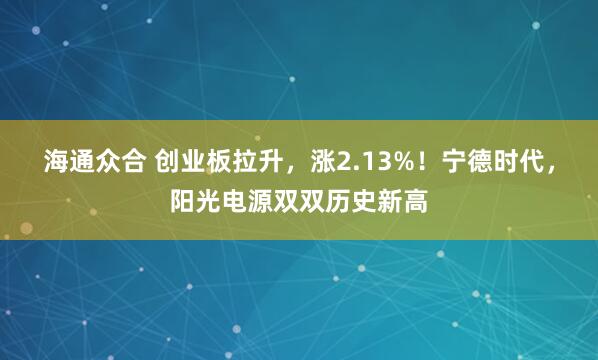 海通众合 创业板拉升，涨2.13%！宁德时代，阳光电源双双历史新高