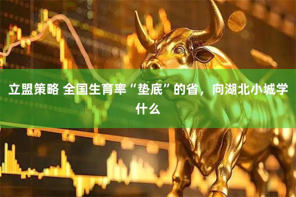 立盟策略 全国生育率“垫底”的省，向湖北小城学什么