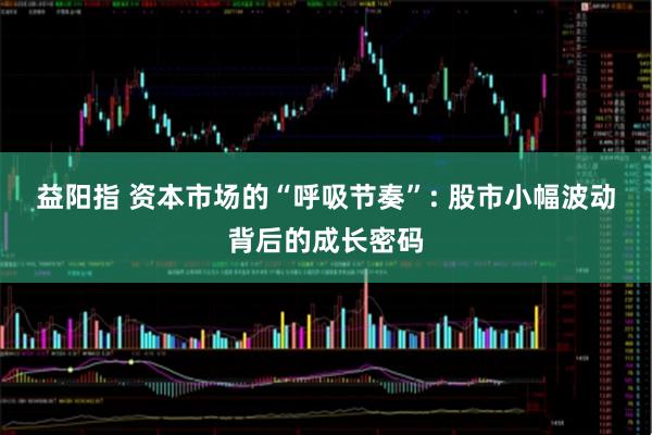 益阳指 资本市场的“呼吸节奏”: 股市小幅波动背后的成长密码