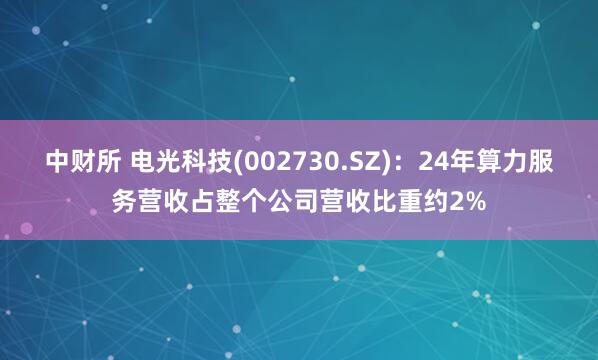 中财所 电光科技(002730.SZ)：24年算力服务营收占整个公司营收比重约2%