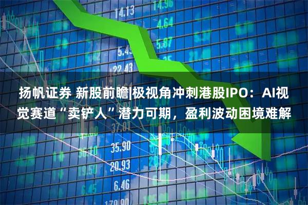 扬帆证券 新股前瞻|极视角冲刺港股IPO：AI视觉赛道“卖铲人”潜力可期，盈利波动困境难解