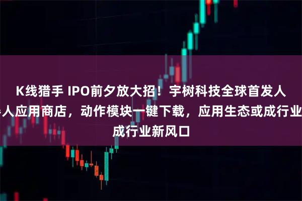 K线猎手 IPO前夕放大招！宇树科技全球首发人形机器人应用商店，动作模块一键下载，应用生态或成行业新风口