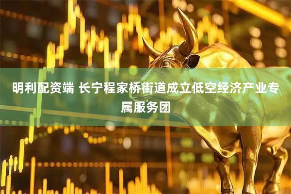明利配资端 长宁程家桥街道成立低空经济产业专属服务团