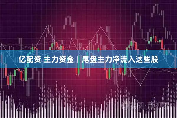 亿配资 主力资金丨尾盘主力净流入这些股