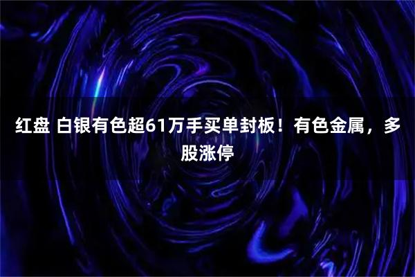 红盘 白银有色超61万手买单封板！有色金属，多股涨停
